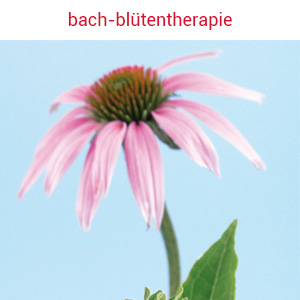 Bach-Blütentherapie